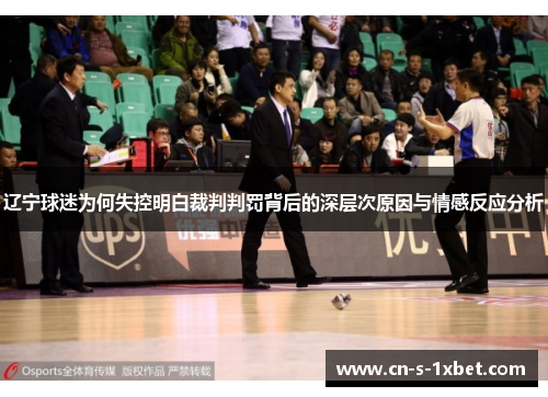 辽宁球迷为何失控明白裁判判罚背后的深层次原因与情感反应分析
