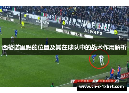 西格诺里踢的位置及其在球队中的战术作用解析 西格诺里踢的位置及其在球队中的战术作用解析