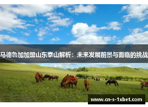 马德鲁加加盟山东泰山解析：未来发展前景与面临的挑战