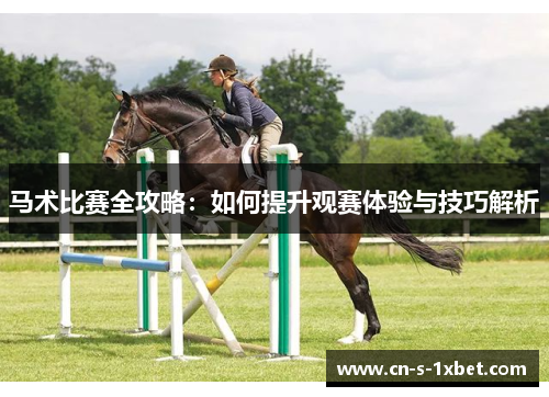 马术比赛全攻略：如何提升观赛体验与技巧解析